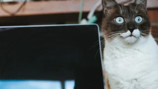 【SESエンジニアのあなたへ】「単純作業ばかり…」そんな現状を打破し、情熱を再燃させる方法